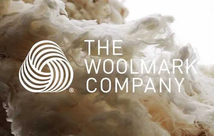 Australian Wool Surround Pillow