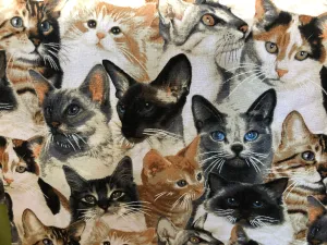Bowl Coozies-Adult Kitties