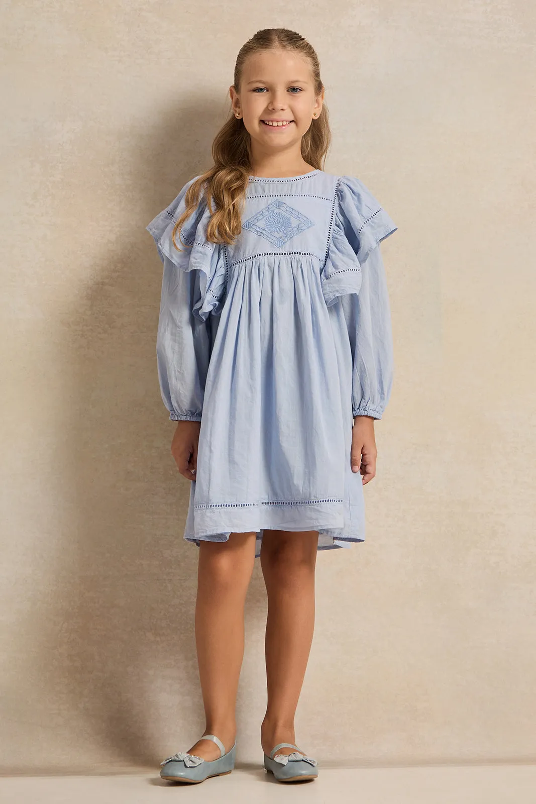 Girls Blue Embroidered Dress
