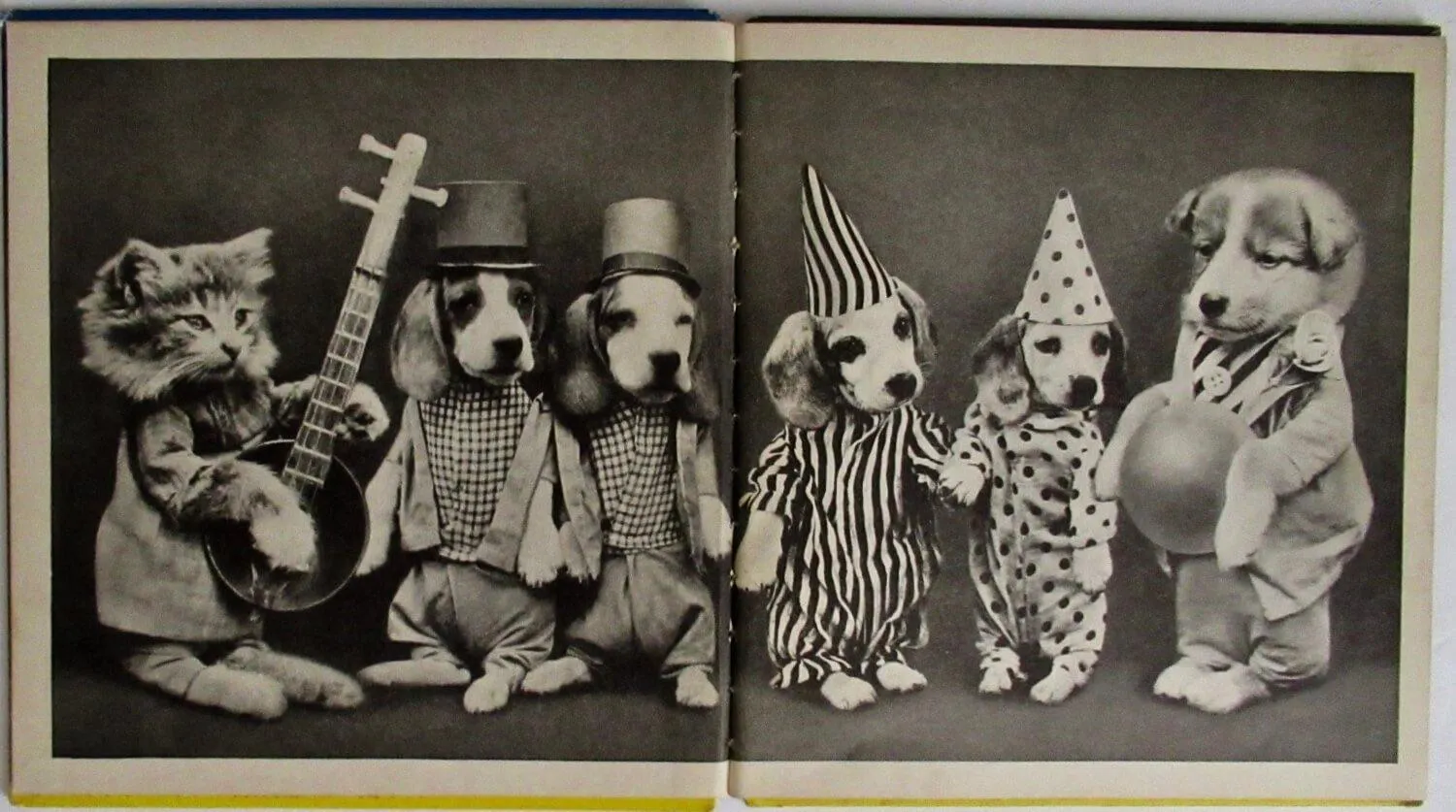 Yip And Yap, by Ruth Dixon - 1938 -  Early Edition