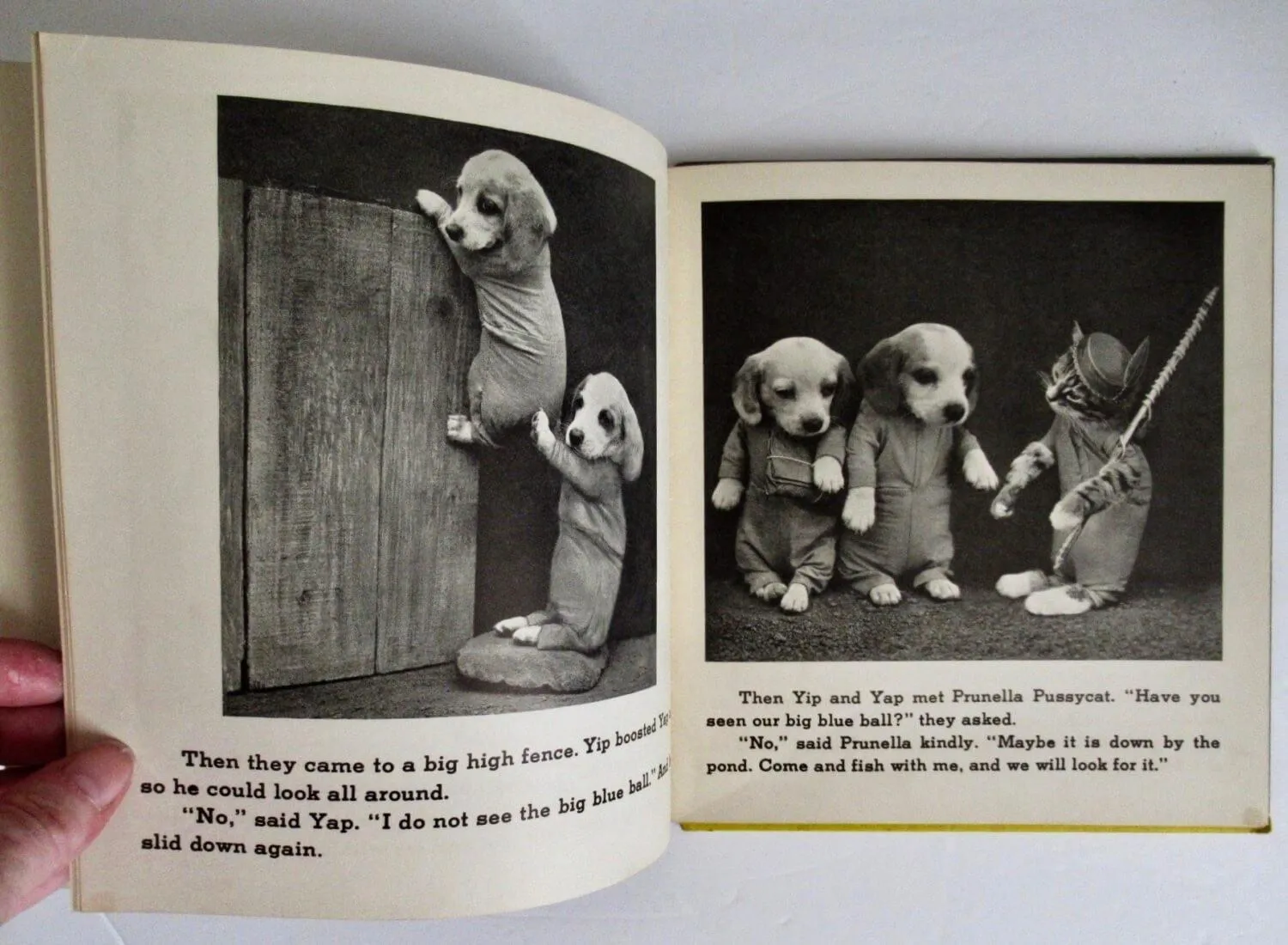 Yip And Yap, by Ruth Dixon - 1938 -  Early Edition