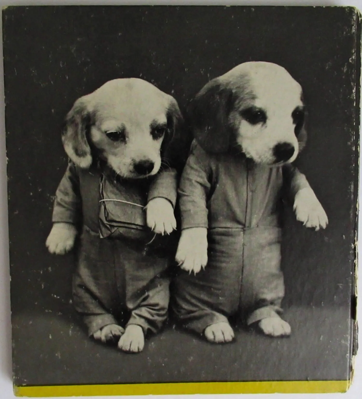 Yip And Yap, by Ruth Dixon - 1938 -  Early Edition